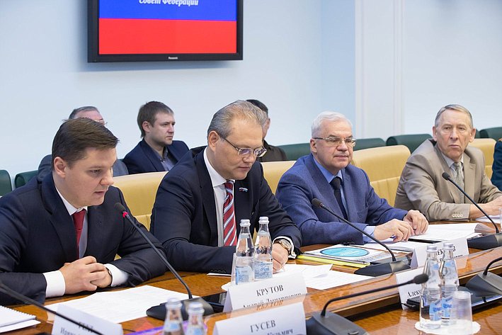 И. Гехт встреча в Совете Федерации