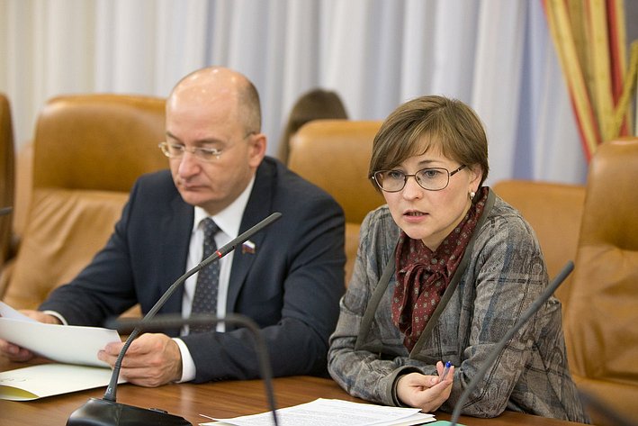 Бокова и Цепкин Заседание временной Комиссии СФ по развитию информационного общества