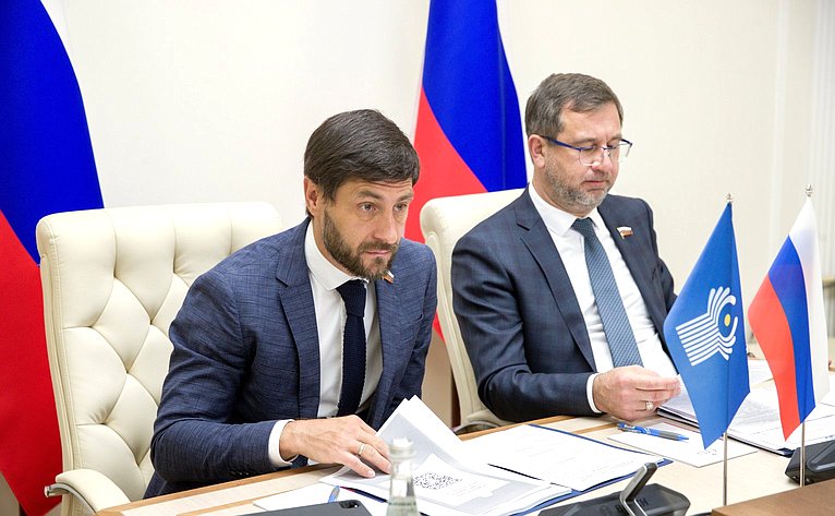 Заседание Рабочей группы МПА СНГ по подготовке проекта модельного закона «О трансграничной несостоятельности и банкротстве»