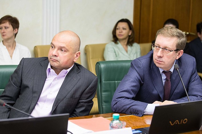 О. Еремеев и А. Майоров Заседание Комитета Совета Федерации по экономической политике