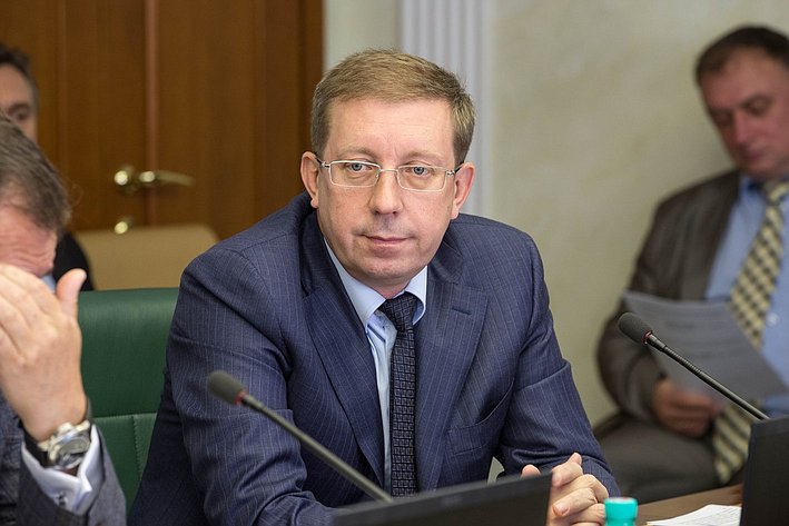 А. Майоров Заседание Комитета СФ по экономической политике
