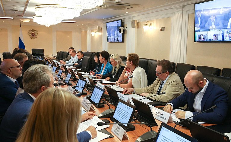 Заседание Экспертного совета по физической культуре и спорту при Комитете СФ по социальной политике