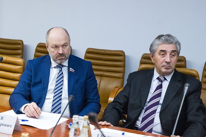 С. Грачев Заседание Комиссии Совета законодателей по вопросам экономической и промышленной политики