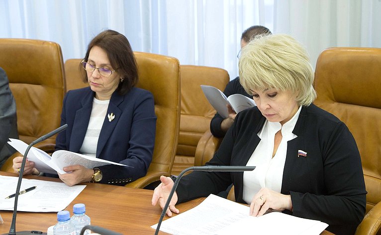 Совещание рабочей группы по проекту федерального закона о парламентском контроле в субъектах Российской Федерации