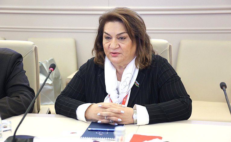 Встреча Елены Перминовой c председателем Комитета по вопросам семьи, женщин и детей Милли Меджлиса Азербайджанской Республики