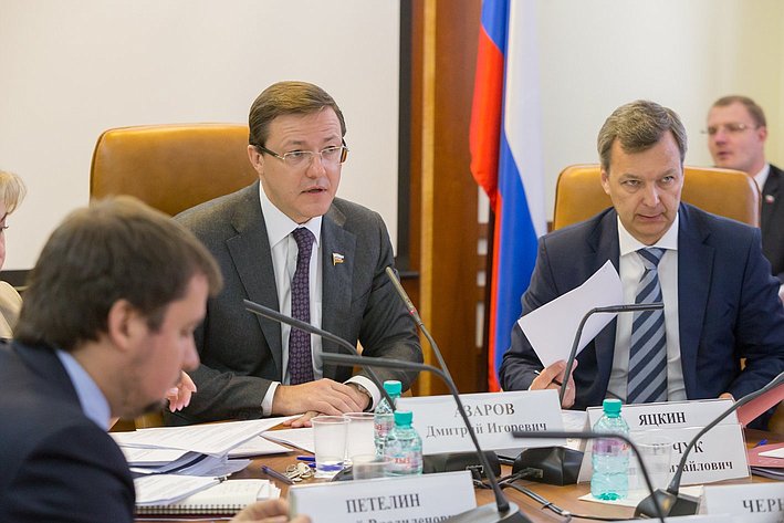 Д. Азаров Заседание Комитета СФ по федеративному устройству, региональной политике, местному самоуправлению и делам Севера