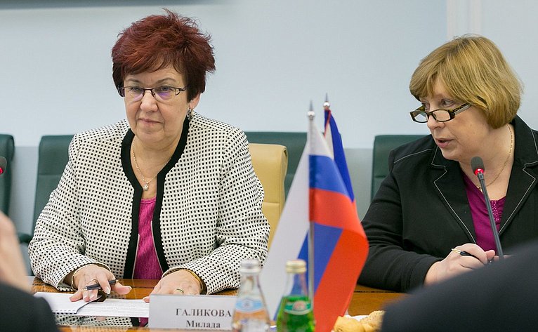 Встреча Д. Азарова с делегацией Чешской республики