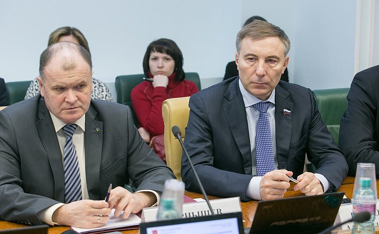 И. Чернышев и А. Варфоломев Заседание Комитета Совета Федерации по социальной политике