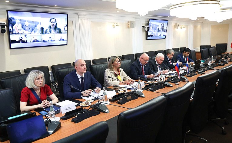 Встреча группы по сотрудничеству Совета Федерации с парламентами стран Латинской Америки и группы дружбы с Россией Палаты сенаторов Национального конгресса Республики Парагвай