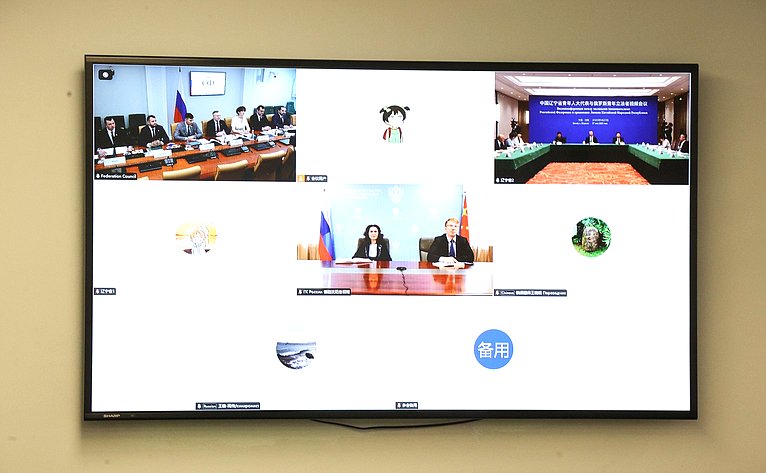 Онлайн-конференция между членами палаты молодых законодателей при СФ и молодыми членами СНП провинции Ляонин КНР