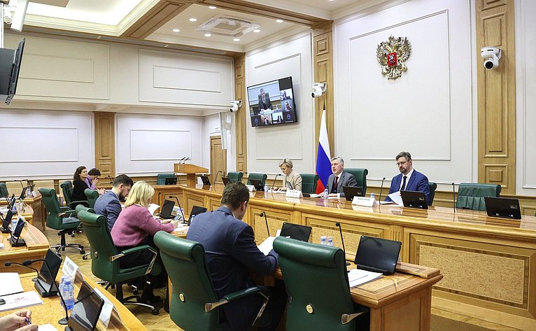 Заседание Экспертно-консультативного совета при Комитете СФ по конституционному законодательству и государственному строительству
