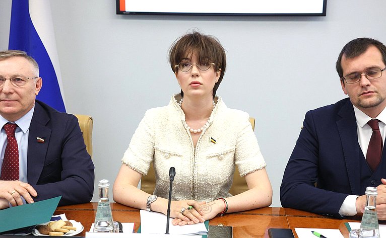 Онлайн-конференция между членами палаты молодых законодателей при СФ и молодыми членами СНП провинции Ляонин КНР