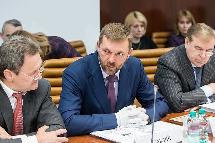Д. Саблин Заседание Комитета Совета Федерации по обороне и безопасности