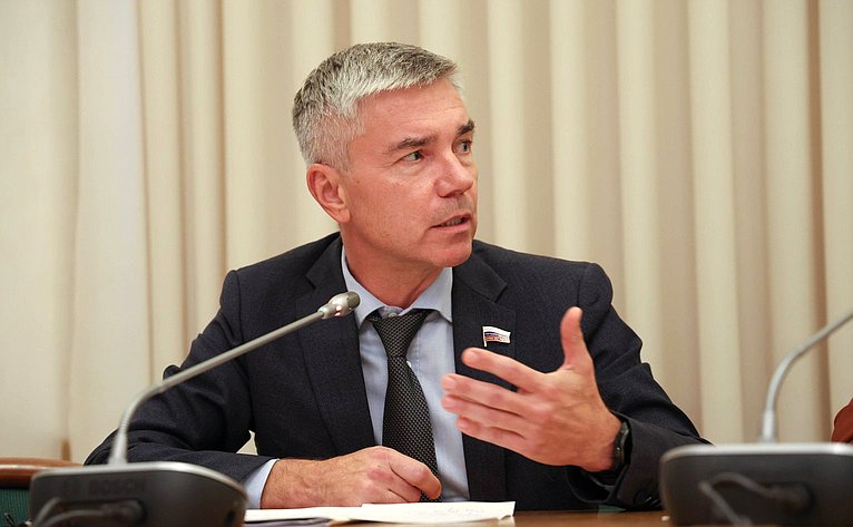 Сенаторы обсудили успешные практики и предложения по развитию НКО
