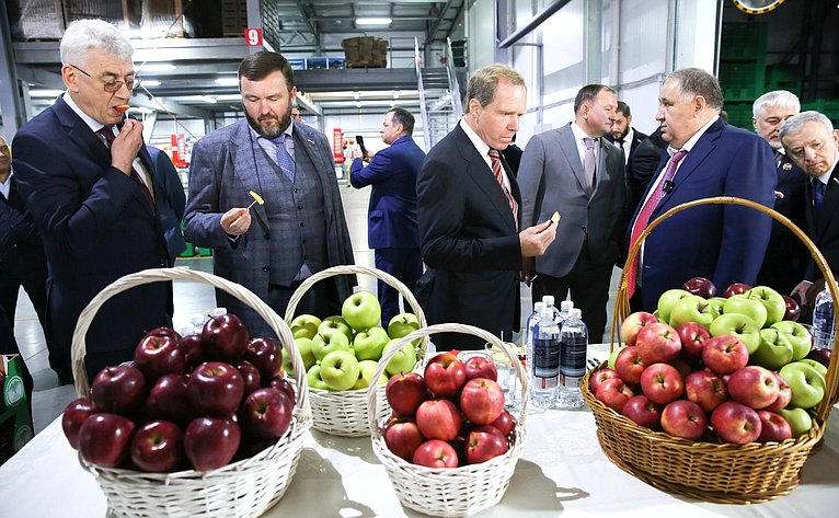 Члены Комитета СФ посетили сельскохозяйственные предприятия –тепличный комплекс и компанию, специализирующуюся на выращивании яблок