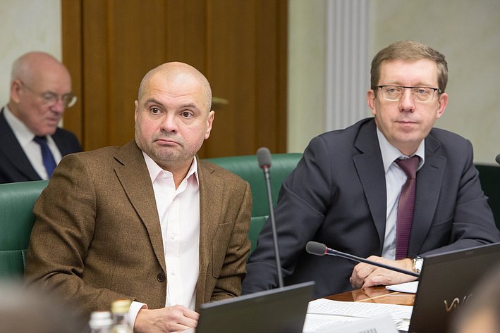 О. Еремеев и А. Майоров Заседание Комитета СФ по экономической политике
