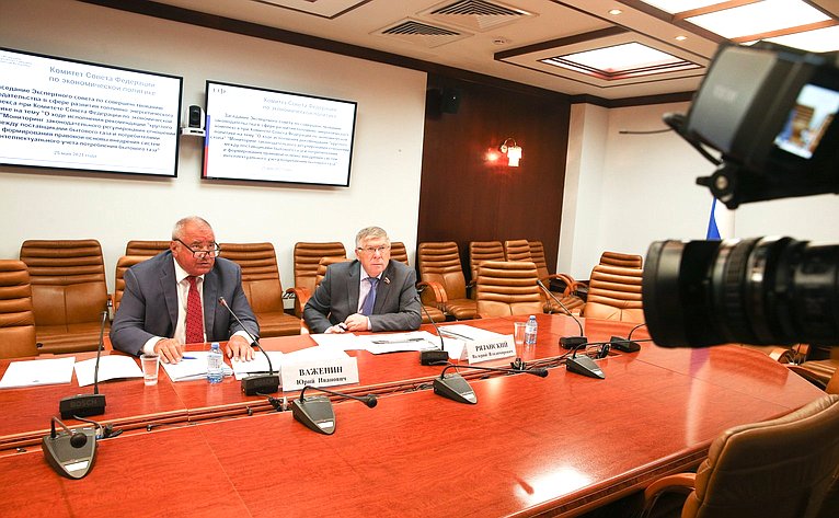 Заседание Экспертного совета по совершенствованию законодательства в сфере развития топливно-энергетического комплекса при Комитете СФ по экономической политике
