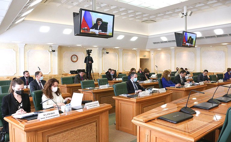 Заседание Совета по развитию социальных инноваций субъектов Российской Федерации