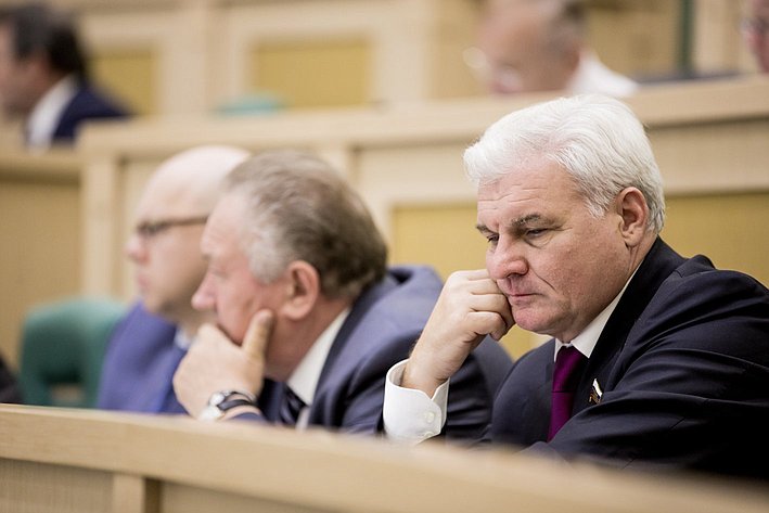 Владимир Плотников на 358 заседании Совета Федерации