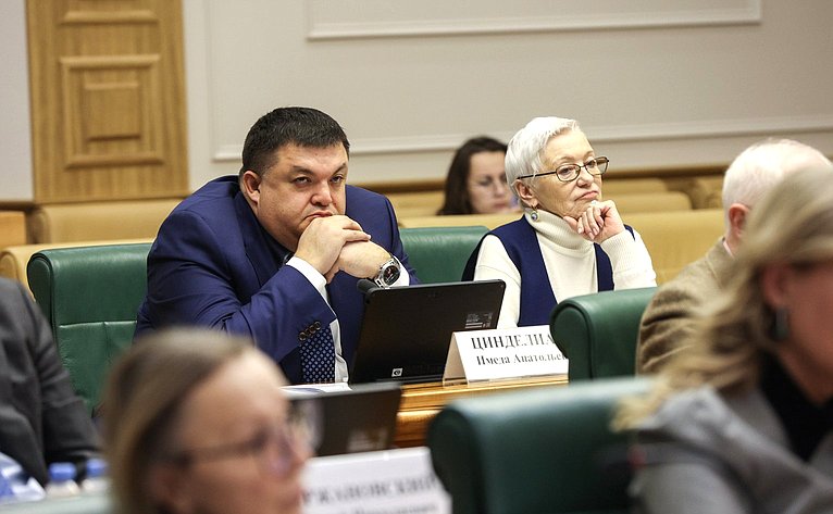Заседание Совета по развитию социальных инноваций субъектов РФ при СФ