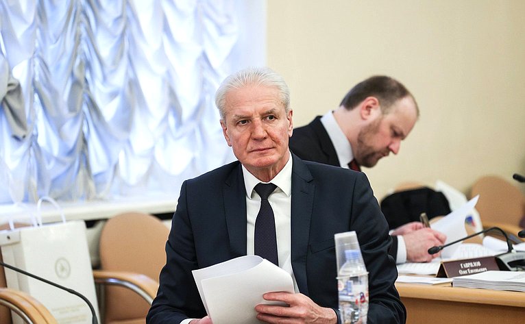 Заседание комиссии Совета законодателей РФ по проблемам международного сотрудничества