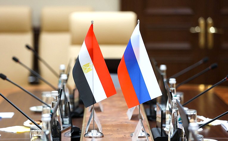 Встреча Григория Карасина с Чрезвычайным и Полномочным Послом Арабской Республики Египет в Российской Федерации