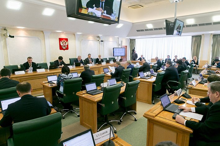 На заседании Комитета Совета Федерации по конституционному законодательству и государственному строительству