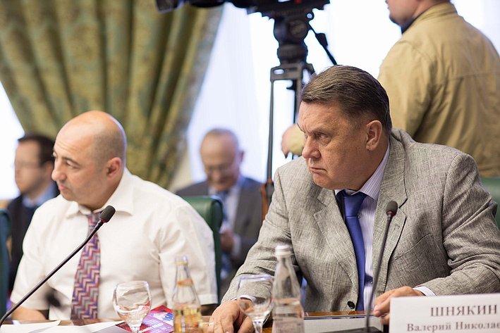 20-05 В. Шнякин Заседание Временной комиссии СФ по мониторингу ситуации на Украине 7