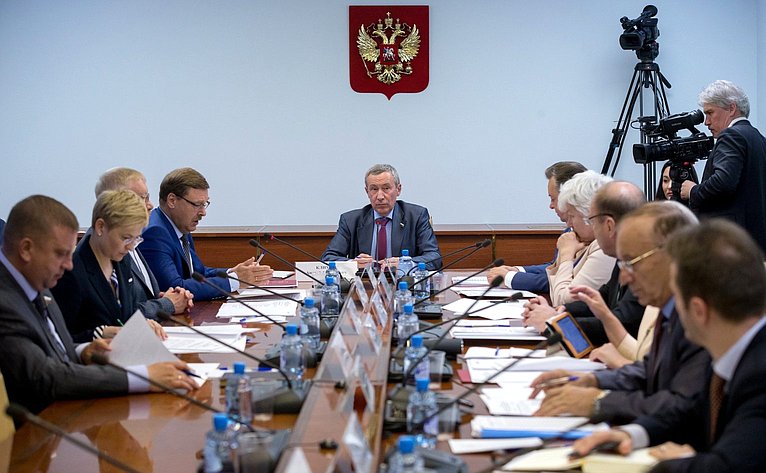 Заседание Временной комиссии Совета Федерации по защите государственного суверенитета и предотвращению вмешательства во внутренние дела Российской Федерации