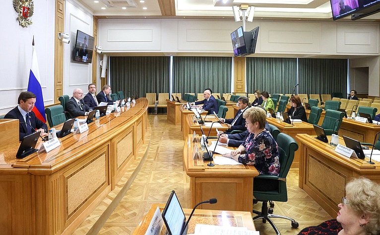 Заседание Комитета Совета Федерации по конституционному законодательству и государственному строительству
