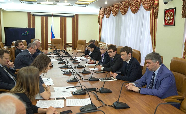 Заседание Временной комиссии Совета Федерации по развитию информационного общества