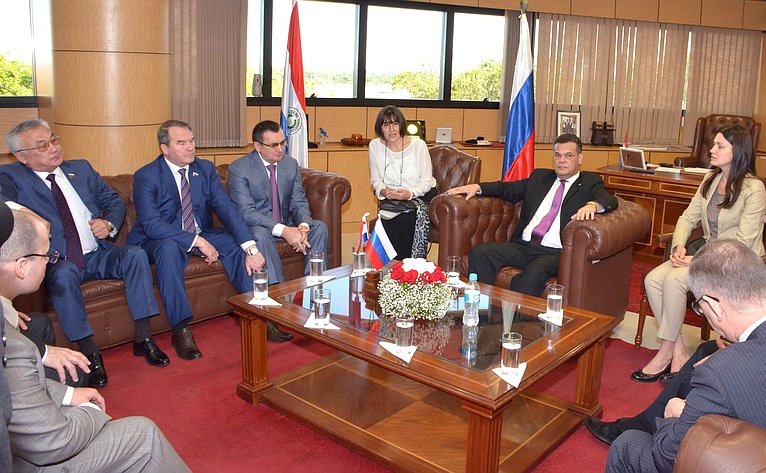 Встреча делегации СФ с Председателем Сената Парагвая Роберто Асеведо