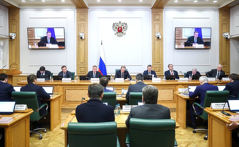 Парламентские слушания Комитета Совета Федерации по экономической политике «Государственная корпорация развития «ВЭБ.РФ» как платформа технологического лидерства для координации институтов развития»