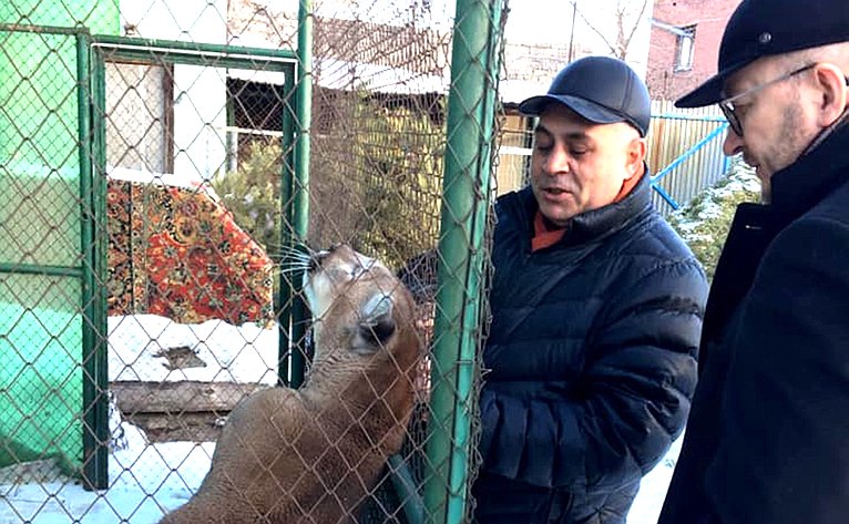 Сенатор Олег Цепкин посетил Фонд зоозащиты «Спаси меня»
