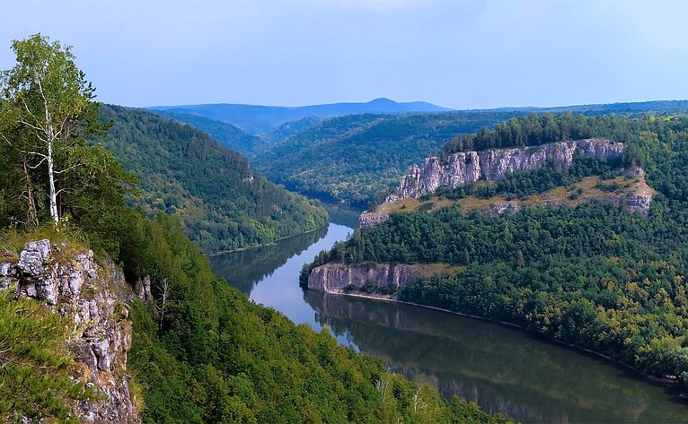 Лесопромышленная отрасль Дальнего Востока — в кризисе | Совет Федерации ...