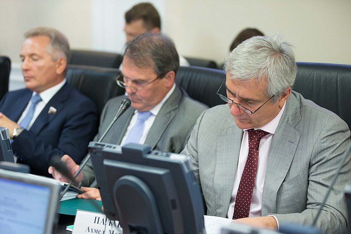 Заседание Комитета по международным делам Паланкоев