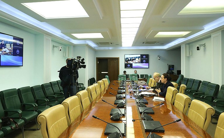 Рабочее совещание Комитета СФ по социальной политике