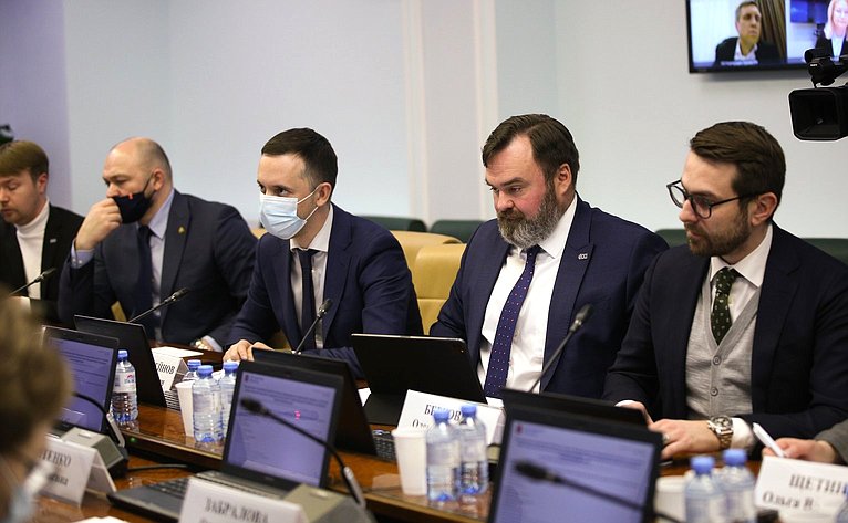 Расширенное заседание Комитета СФ по социальной политике в рамках Дней Нижегородской области в СФ