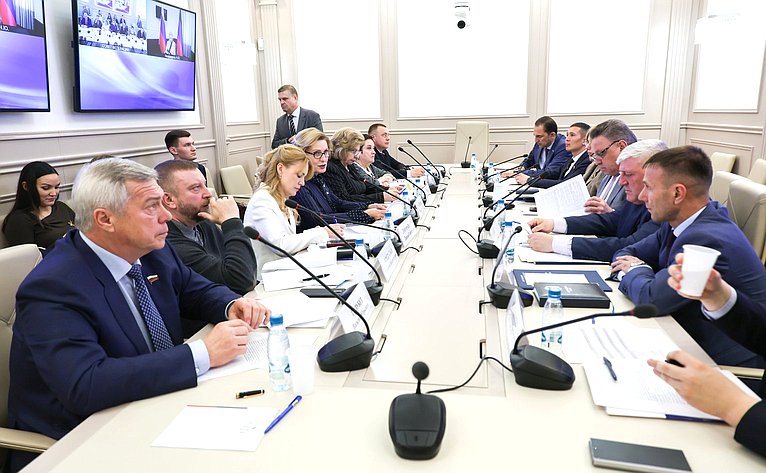Заседание рабочей группы по законодательному обеспечению прав и законных интересов граждан Российской Федерации – участников специальной военной операции и членов их семей