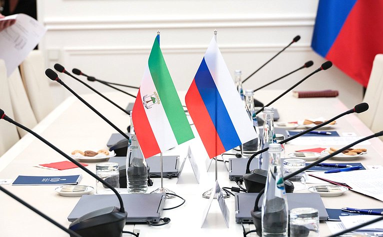 Встреча члена Комитета Совета Федерации по социальной политике .Андрея Чернышева с Чрезвычайным и Полномочным Послом Республики Экваториальная Гвинея в Российской Федерации Лусиано Айекабой