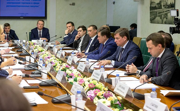 «Круглый стол» Комитета СФ по бюджету и финансовым рынкам
