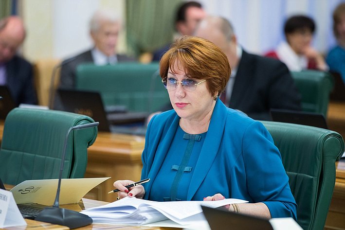 Е. Перминова Заседание Комитета Совета Федерации по бюджету и финансовым рынкам
