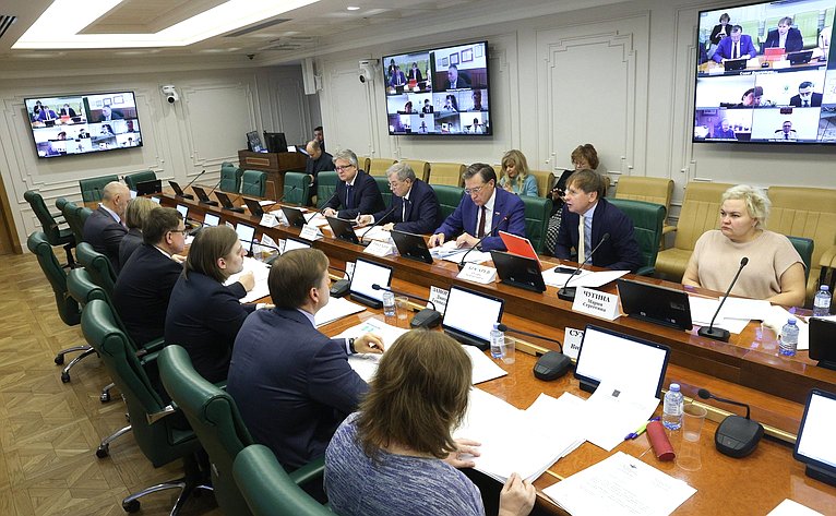 Совещание Комитета СФ по бюджету и финансовым рынкам