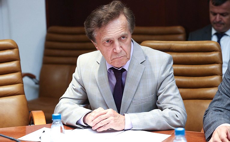Совещание Комитета СФ по Регламенту и организации парламентской деятельности «Профессиональная этика в деятельности должностных лиц органов публичной власти»