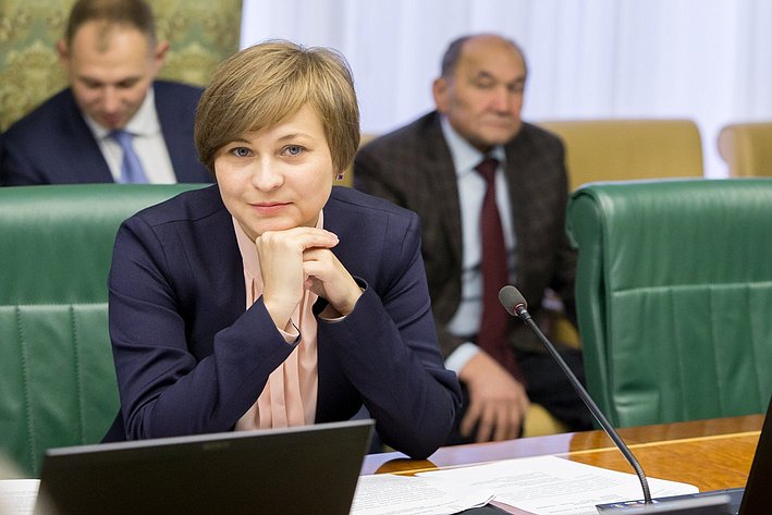 Л. Бокова Заседание Комитета Совета Федерации по экономической политике