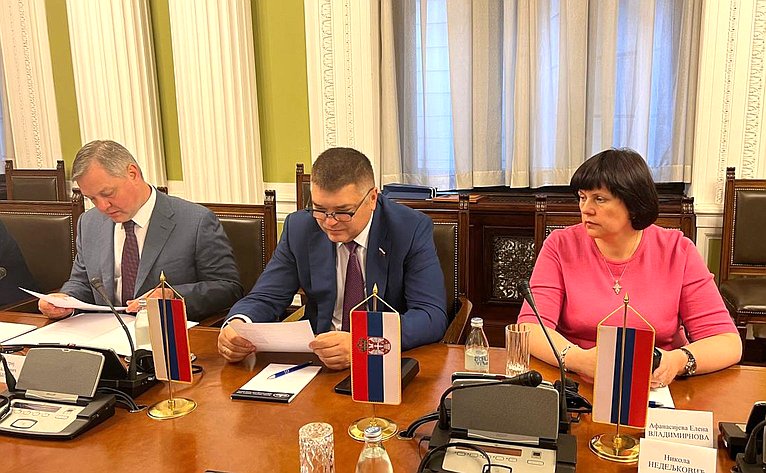 Делегация Совета Федерации осуществила в Сербии наблюдение за выборами Президента Республики и досрочными выборами в Народную скупщину