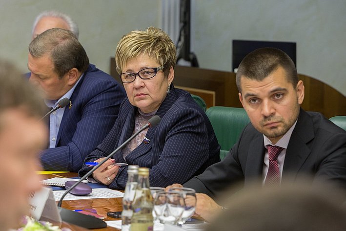 Г. Николаева С. Мамедов Заседание Комитета общественной поддержки жителей Юго-Востока Украины
