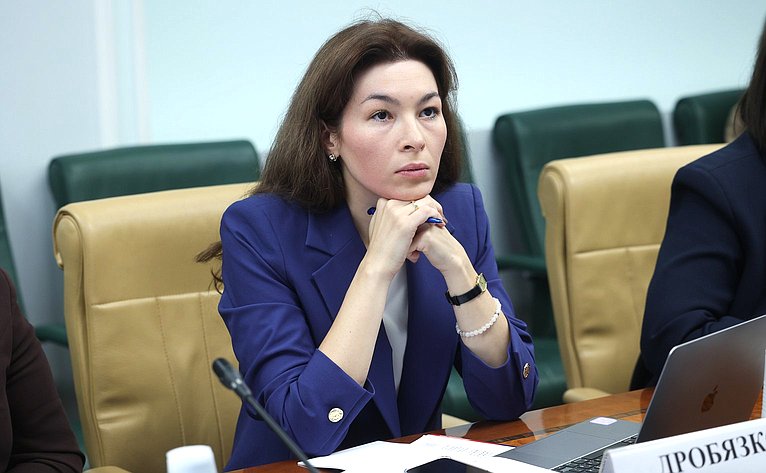 Круглый стол Комитета СФ по конституционному законодательству и государственному строительству «Законодательное обеспечение государственной миграционной политики Российской Федерации в 2025 году: состояние и перспективы»