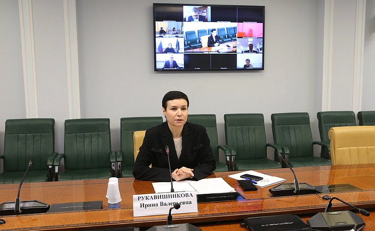 Ирина Рукавишникова провела «круглый стол» на тему «Цифровизация системы исполнительного производства в Российской Федерации»