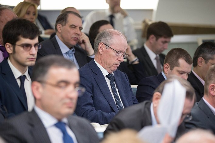 Заседание Комитета по бюджету и финансовым рынкам Петрушкин